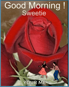 Good Morning Sweetie GIF - Good Morning Sweetie Rose GIFs