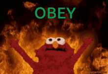 Obey Elmo GIF - Obey Elmo Fire GIFs