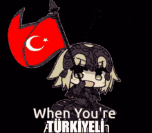 Türkiye When Youre Türkiyeli GIF - Türkiye When Youre Türkiyeli Fate GIFs