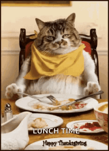 Lunch Time Kitten GIF - Lunch Time Kitten Happy Thanksgiving GIFs