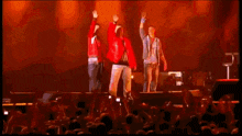 a group of people are standing on a stage in front of a large crowd .