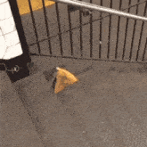 rat pizza steal