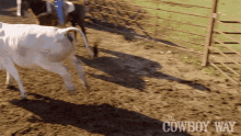 Run For It The Cowboy Way GIF