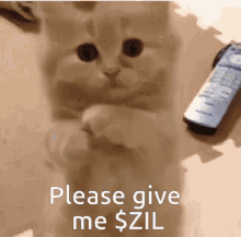 Cute Zilliqa GIF - Cute Zilliqa Cat GIFs
