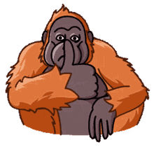 orangutan telegram orangutan orang