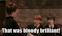 Ron Weasley Bloody Brilliant GIF