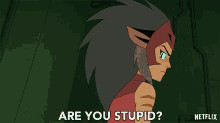 are you stupid catra she ra and the princesses of power are you dumb mad