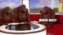 Where Monkey Where Date GIF - Where Monkey Where Date GIFs