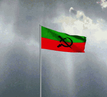 Rodia Rodian GIF - Rodia Rodian Flag GIFs