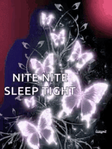 Nite Nite Sleep Tight GIF