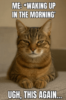 a cat is laying on a couch with the caption " me waking up in the morning ugh this again "