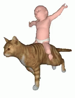 cat-riding-fun-baby.gif