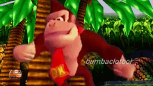 Funny Did Laugh Donkeykong GIF