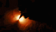 a close up of a person 's face with a light shining through it .