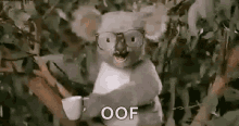 Oof Punch GIF - Oof Punch Koala GIFs