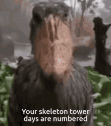 Skelly Tower GIF - Skelly Tower GIFs