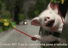 Chancho Cuarentena Pig GIF - Chancho Cuarentena Pig Happy GIFs