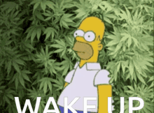 Homer Smoking Weed GIFs | Tenor