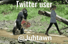 Juhtawn Jatan GIF - Juhtawn Jatan Gorilla GIFs