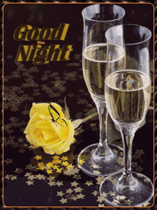 Good Night GIF - Good Night GIFs