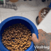 Feeding My Dog Viralhog GIF - Feeding My Dog Dog Viralhog GIFs