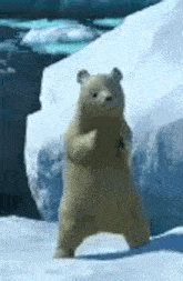 Ffxiv Bear GIF - Ffxiv Bear Clap GIFs