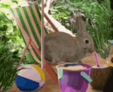 Off The Rails H3 GIF - Off The Rails H3 First Day Of Summer GIFs
