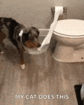 Pulling Toilet Tissue Paper Pulling GIF