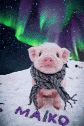 a pig wearing a scarf is standing in the snow with the name mako written in purple