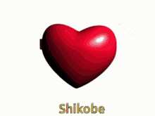 Shikobe My Man GIF - Shikobe My Man Love GIFs