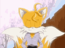 Miles Tails Prower Handsome Miles GIF - Miles Tails Prower Handsome Miles Cool Miles GIFs