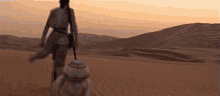 rey and bb-8 are walking through a desert .