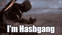 Hashflow Hashgang GIF - Hashflow Hashgang Hashverse GIFs