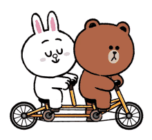 bicycle cony