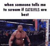 Catgirls Scream GIF - Catgirls Scream Best GIFs
