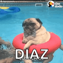 a pug wearing a bow tie is floating on a red float in a pool with the word diaz below it