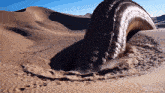 a video of a worm coming out of a hole in a sandy desert