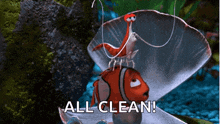clean jacques finding nemo