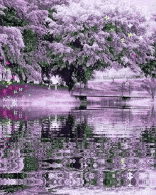 River Cherry Blossom GIF - River Cherry Blossom GIFs