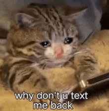 a crying cat is laying on a bed with the words `` why do n't u text me back '' .