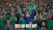 Green And White Army Northern Ireland GIF - Green And White Army Northern Ireland Northern Ireland Fans GIFs