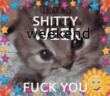 Have A Shitty Week Fuck You GIF - Have A Shitty Week Fuck You Cat GIFs