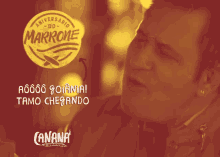 Marrone GIF - Marrone GIFs
