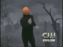 Catcostume Halloween Funny GIF