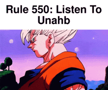 Goku Goku Rule GIF - Goku Goku Rule Rule 550 GIFs