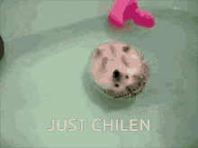 Just Chilen Funk GIF - Just Chilen Funk Hedgehog GIFs