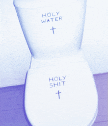 a toilet that has the words holy water and holy shit on it