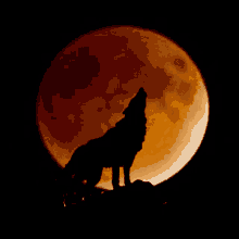 Howling At The Moon GIF - Howling At The Moon GIFs