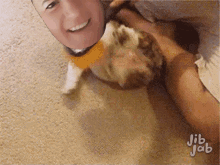 Doggy Tickles GIF - Doggy Tickles Cutie GIFs