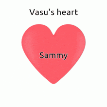 Vasu Vasu Sammy GIF